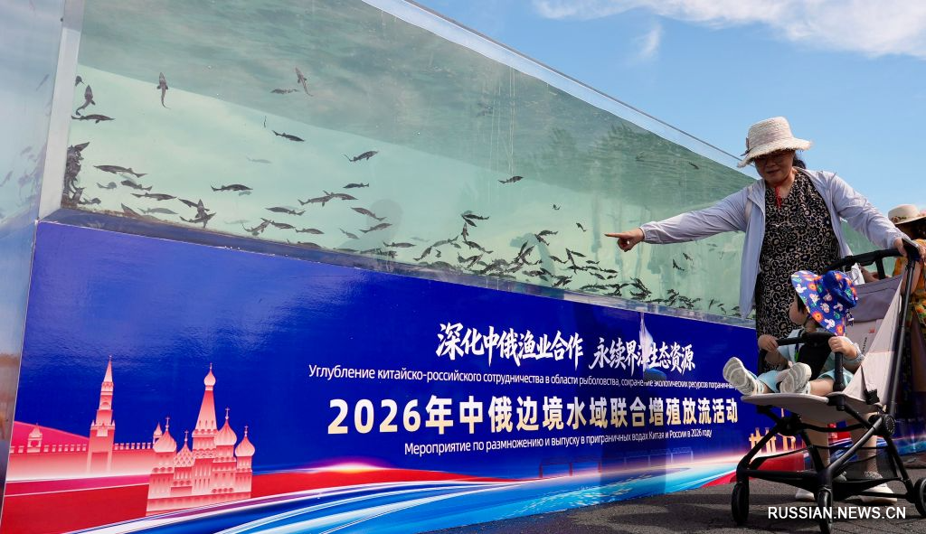 7.16 568万余尾鱼苗放流中俄边境水域2.jpg