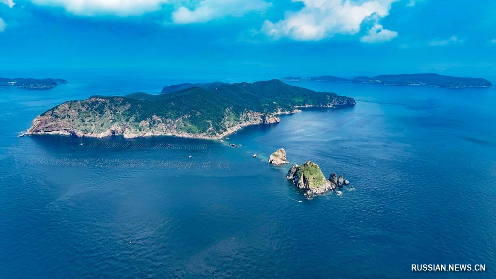 7.29辽宁长山群岛候鸟栖息地成功纳入世界自然遗产6.jpg