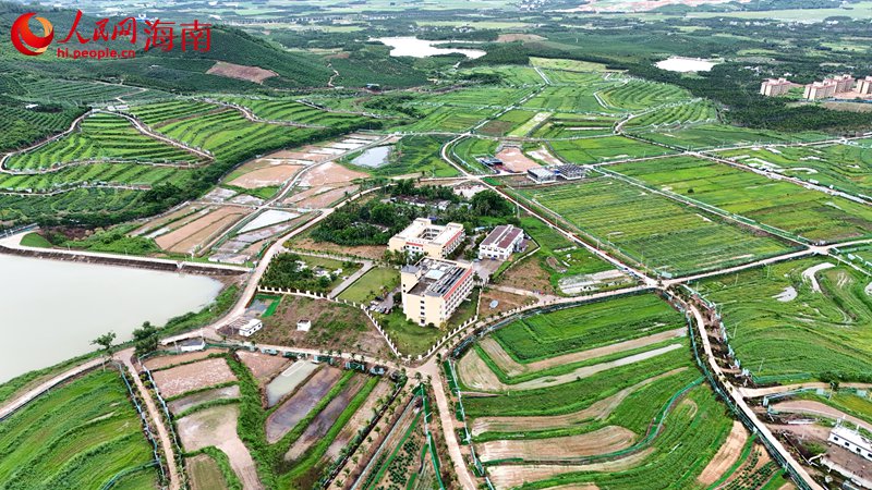 9.10“南繁硅谷”探“家底”1.jpg