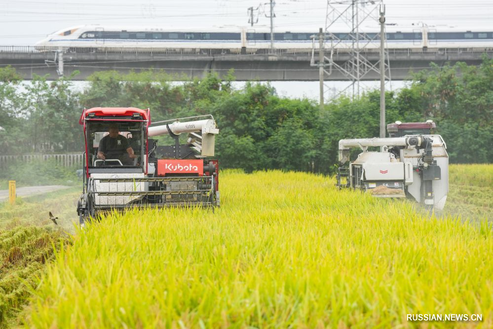 9.16永丰村迎秋粮收获3.jpg