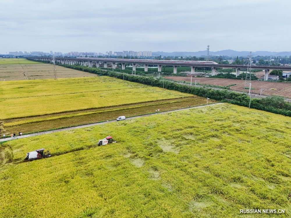 9.16永丰村迎秋粮收获2.jpg