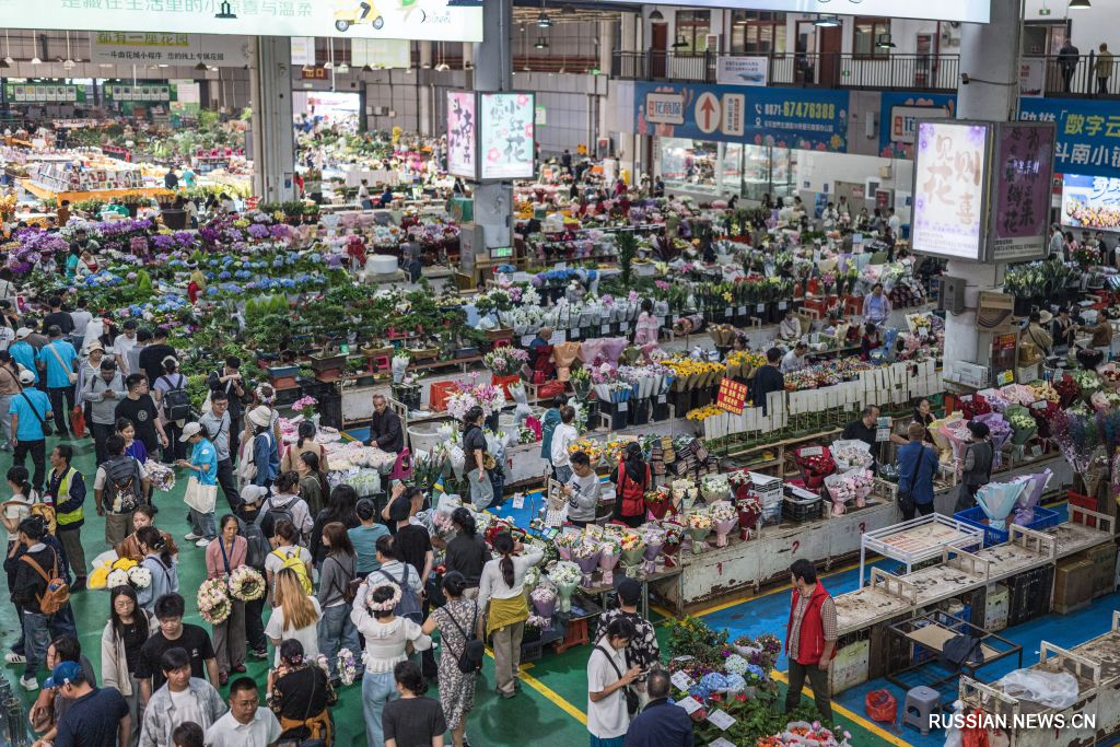 9.20昆明市呈贡区:“赏花+”激活美丽经济新动能1.jpg