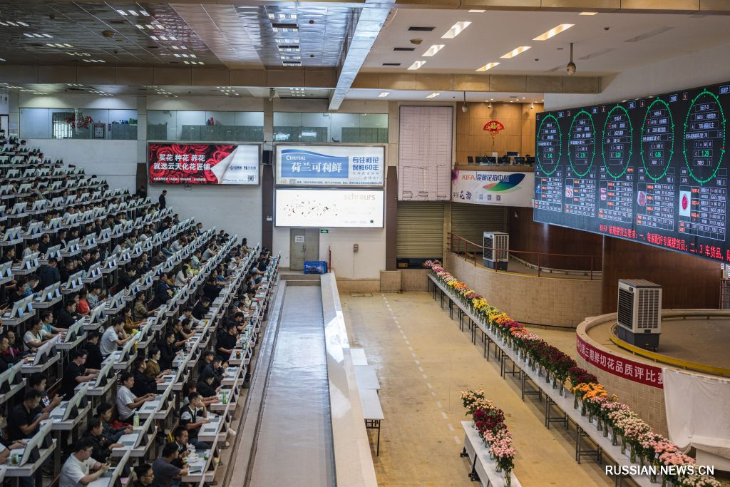 9.20昆明市呈贡区:“赏花+”激活美丽经济新动能6.jpg