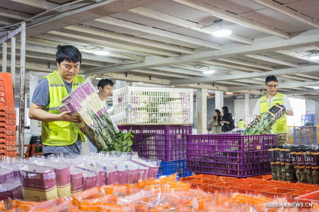 9.20昆明市呈贡区:“赏花+”激活美丽经济新动能8.jpg