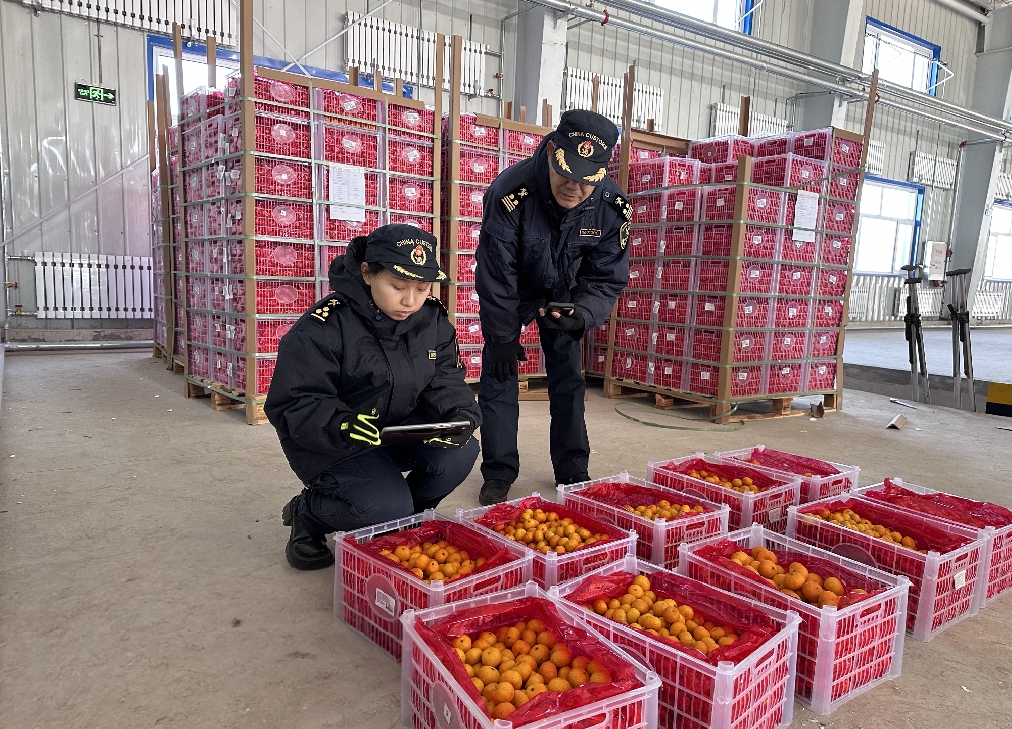 微信截图_20241225103501.png