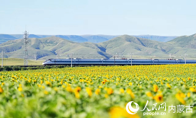 正在行驶的列车。中国铁路呼和浩特局集团有限公司供图